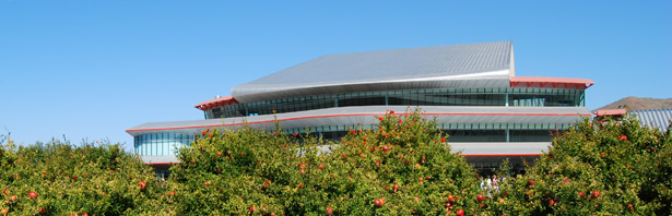 The Christopher Cohen Center surrounded by a true blue cloudless sky, as seen from behind a row of pomegranate bushes.  Photo by Cheryl May, Analyst, Human Resources.